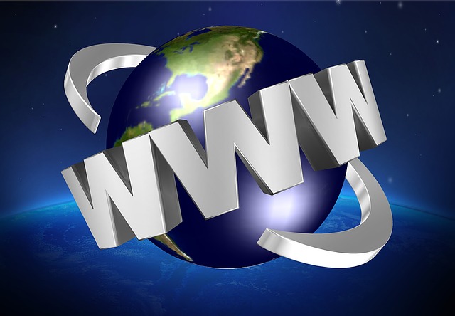 WWW a svět